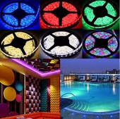 24V 5050 White/Warm White/RGB LED strip Waterproof IP65 300 LED SMD 5050 