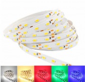12V 5630 LED Strip 60 LED/m non Waterproof White / Warm White / Red / Green / Blue