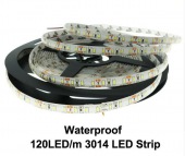12V 3014 LED Strip 120 LED/m IP20/1P65 White /Warm White 